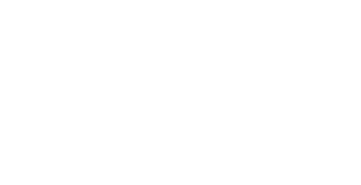 Tahoe Equine